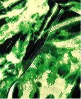 LuLaRoe Buttery Soft Leggings • Black Green Tie Dye