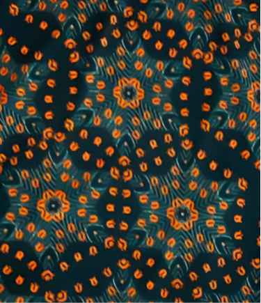LuLaRoe Cassie Pencil Skirt • Orange Blue Floral