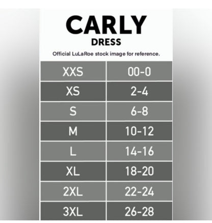 LuLaRoe Carly • High Low Hemline Swing Dress • Black White Gingham with Roses