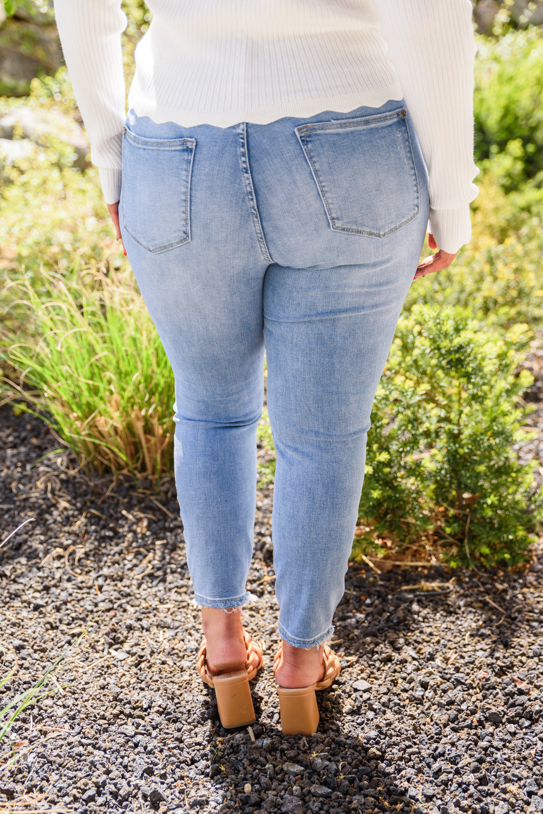Judy Blue • Hi-Rise Button Fly Skinny