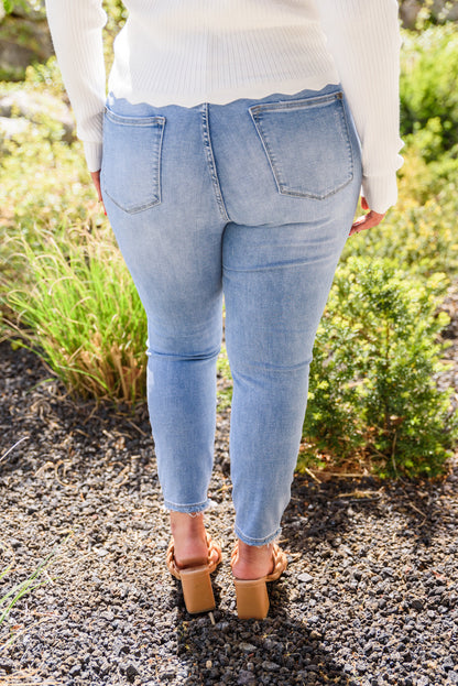 Judy Blue • Hi-Rise Button Fly Skinny