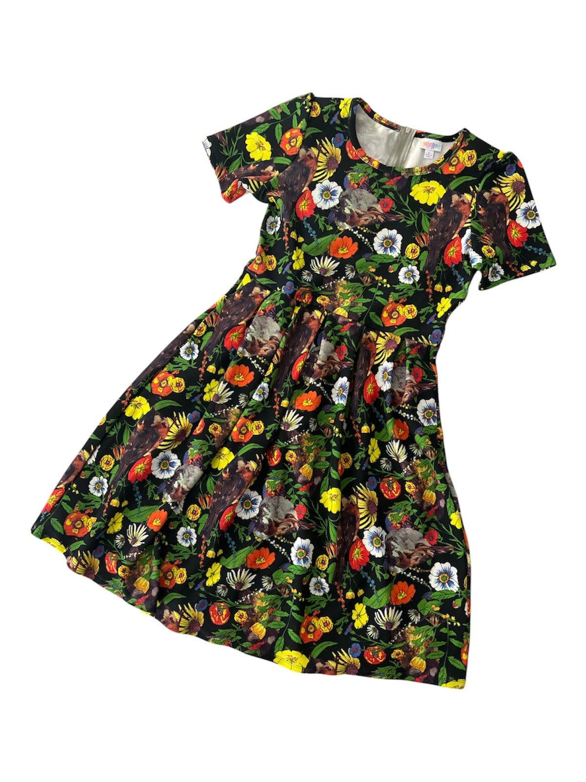 LuLaRoe • Amelia Fit-and-Flare Dress • Rare Hidden Sparrow Print • Vintage