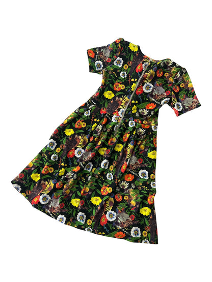 LuLaRoe • Amelia Fit-and-Flare Dress • Rare Hidden Sparrow Print • Vintage