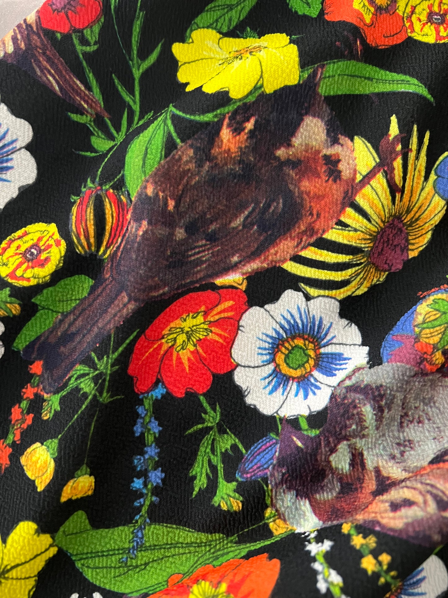 LuLaRoe • Amelia Fit-and-Flare Dress • Rare Hidden Sparrow Print • Vintage