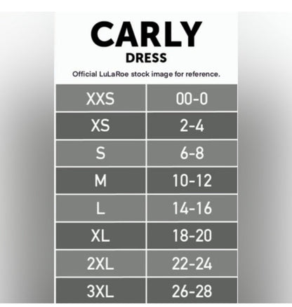 LuLaRoe Carly • High Low Hemline Swing Dress • Checkered • Pink and White